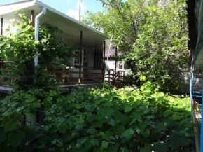 Guest house U ivanycha